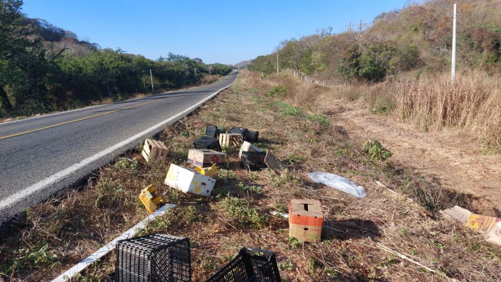 Camioneta cargada de frutas y verduras termina volcada en carretera de Mazatlán 