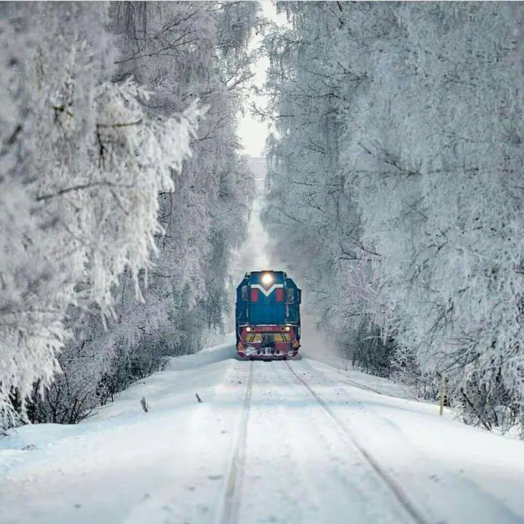 ¡Es impresionante! Ruta nevada del Chepe, el mejor lugar para visitar estos últimos días del 2022