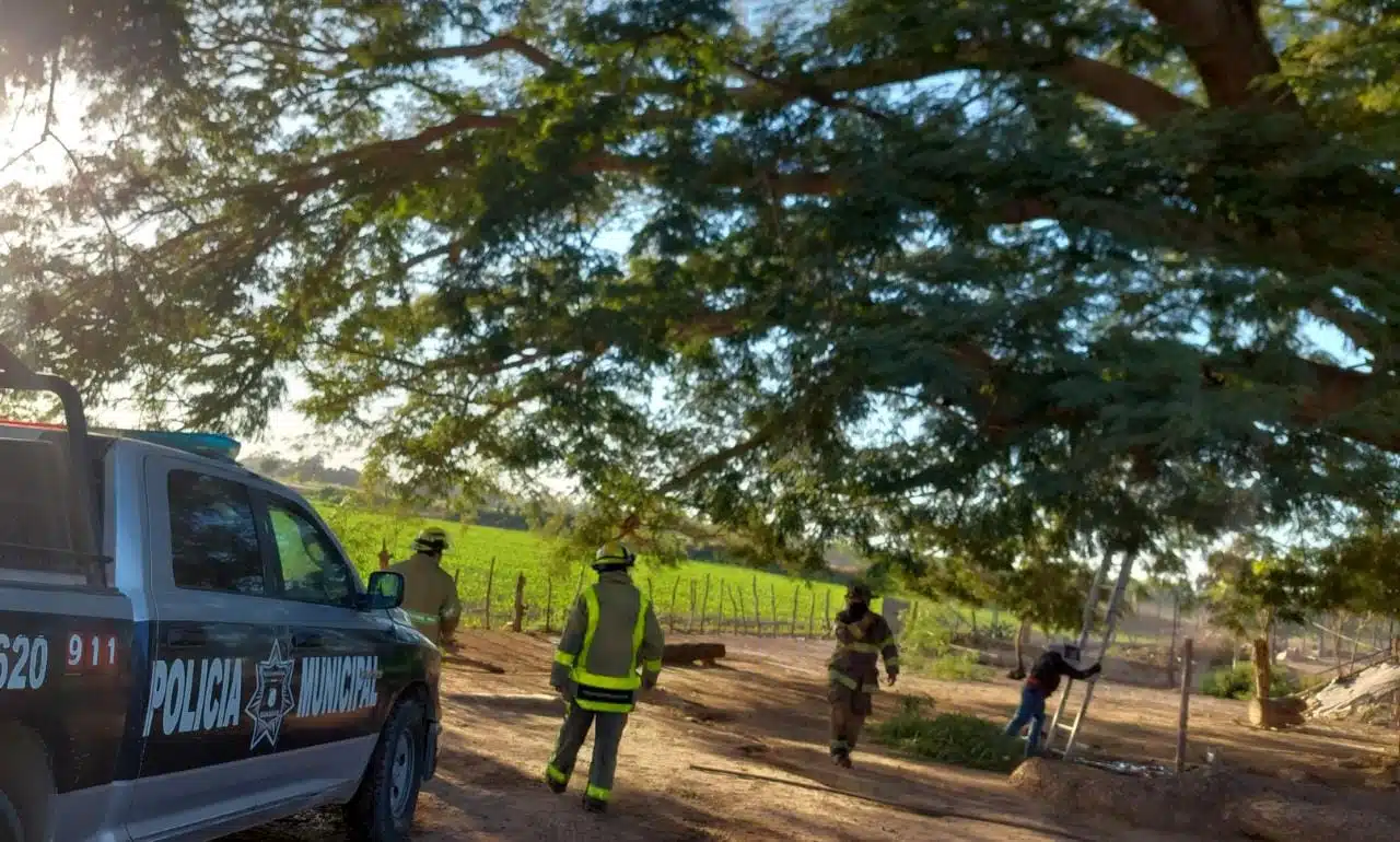 Enjambre Guasave Bomberos