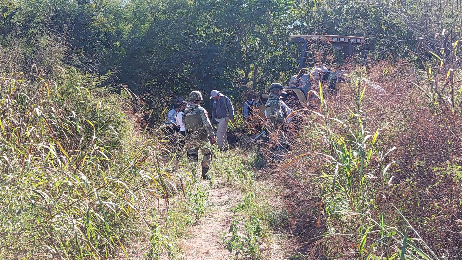 Fosa Mazatlán Policíaca Búsqueda