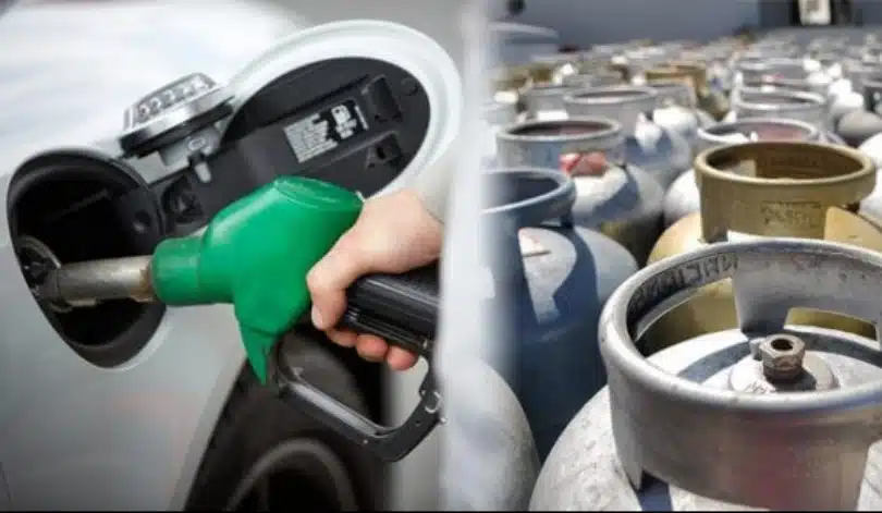 ¡Atención! Gasolina, gas, luz e impuestos no subirán para el 2023, anuncia AMLO