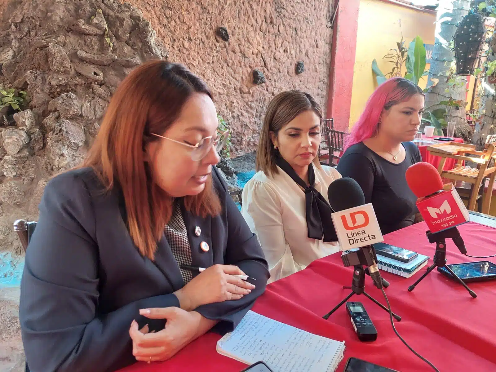 Guadalupe Valle Busqueda Desaparecidas Mujeres Colectivo Culiacán Mujeres Activas Sinaloenses