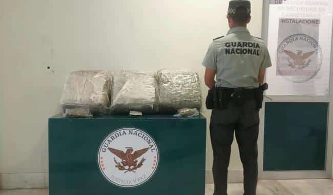 Guardia Marihuana