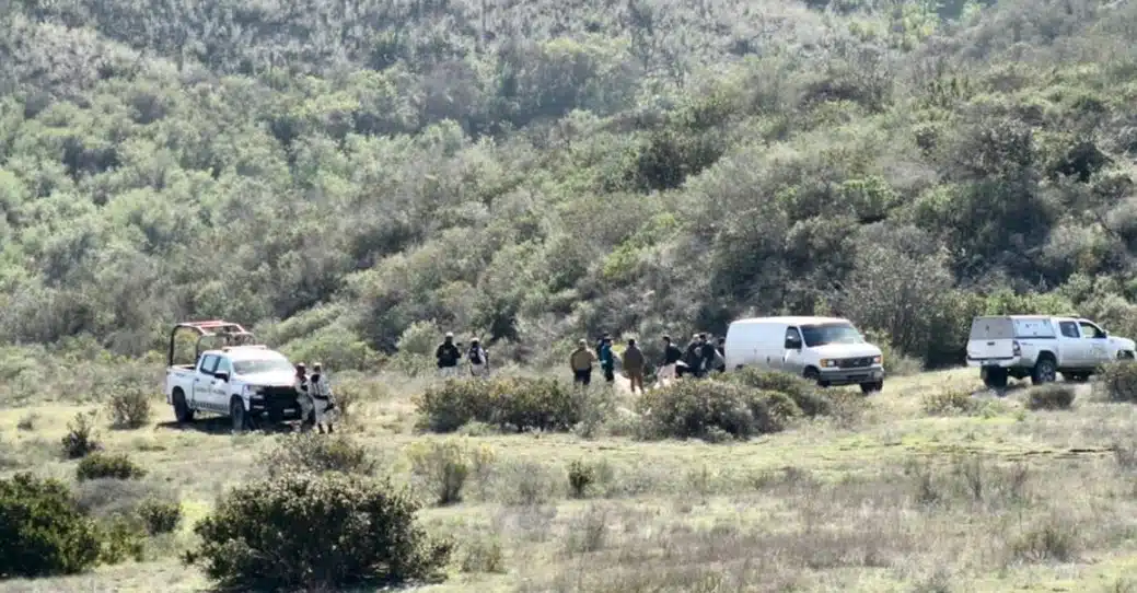 Hallan 11 cadáveres en Tijuana