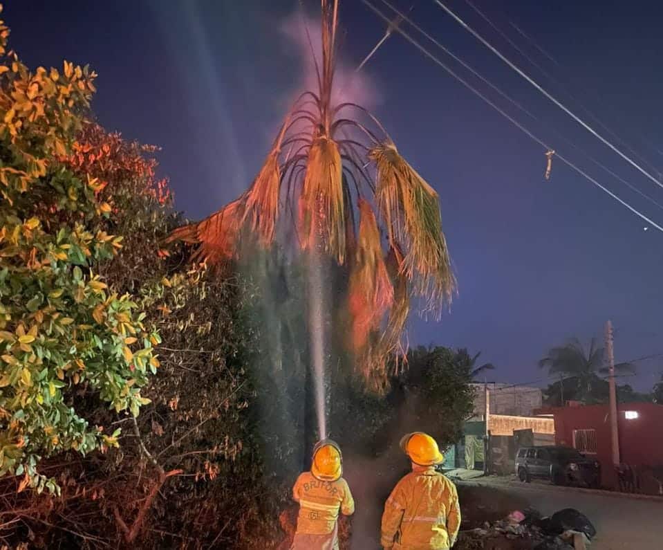Incendios lotes baldíos Mazatlán