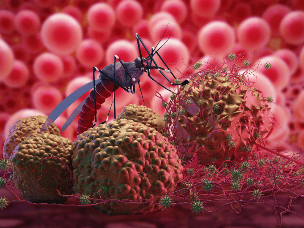 Detectaron 152 casos de malaria en México; se registra un caso en Sinaloa
