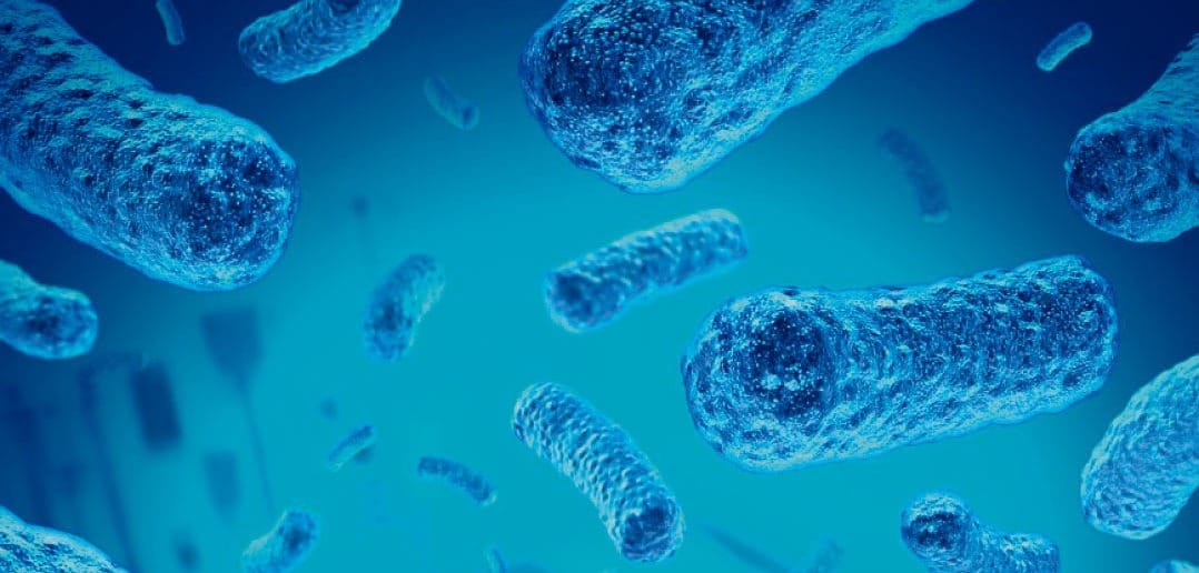 Identifican hongo causante de meningitis en Durango ¿De cuál se trata?