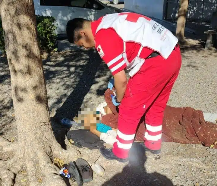 ¡Estaba debajo de un árbol! Muere indigente afuera del Hospital General de Los Mochis