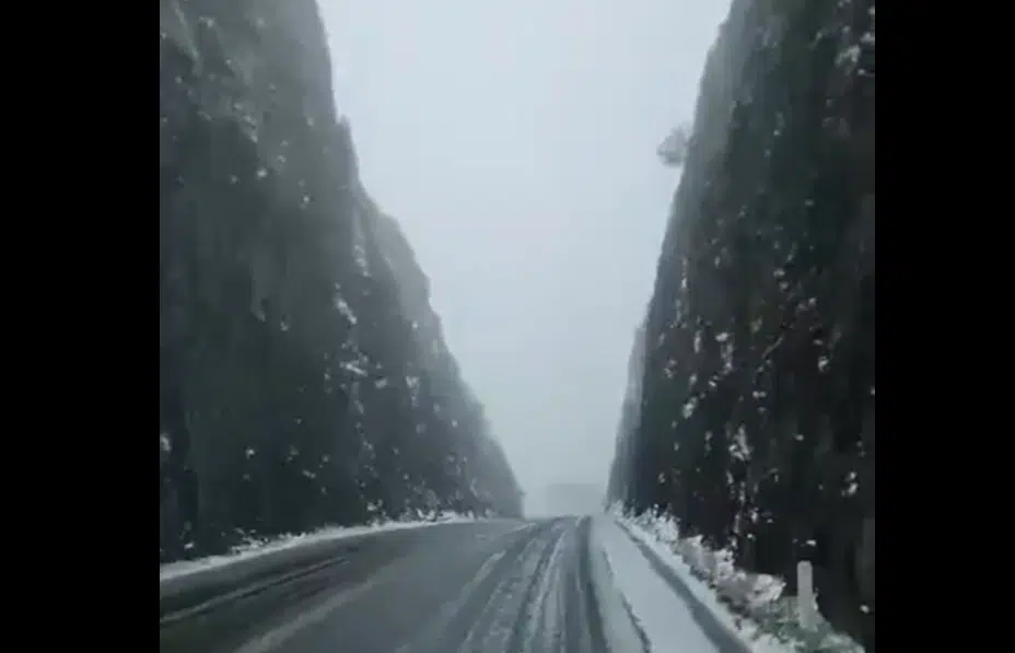 nieve Sonora Chihuahua