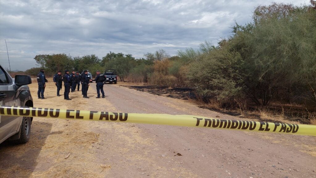 Osamenta Bachigualato Culiacán