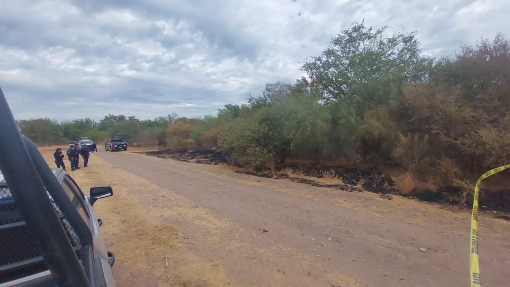 Osamenta Bachigualato Culiacán