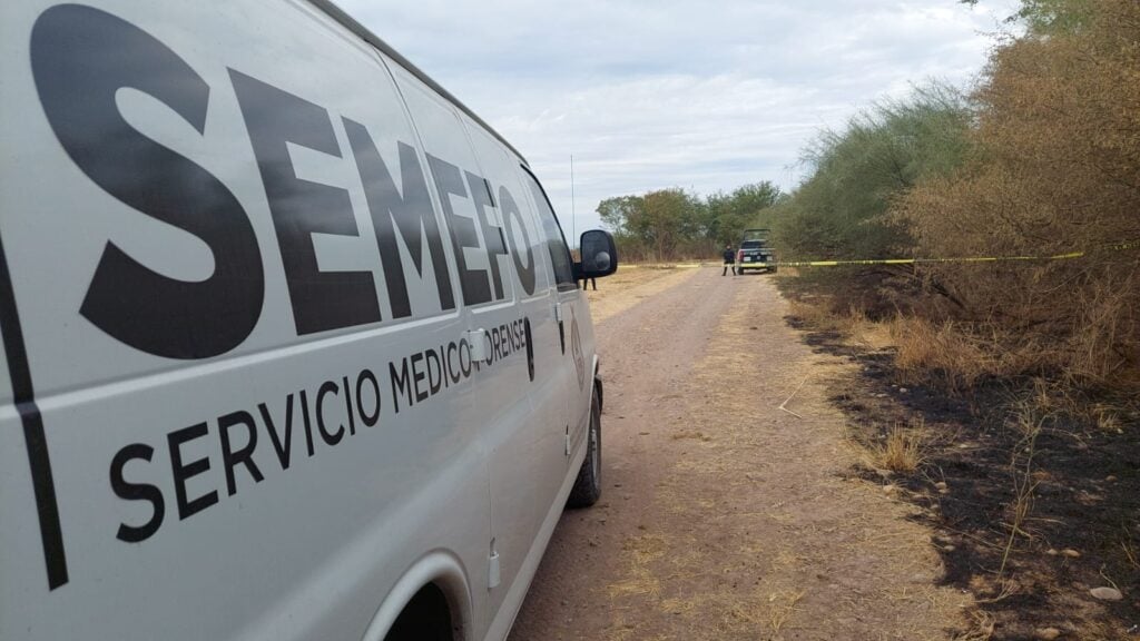 Osamenta Bachigualato Culiacán