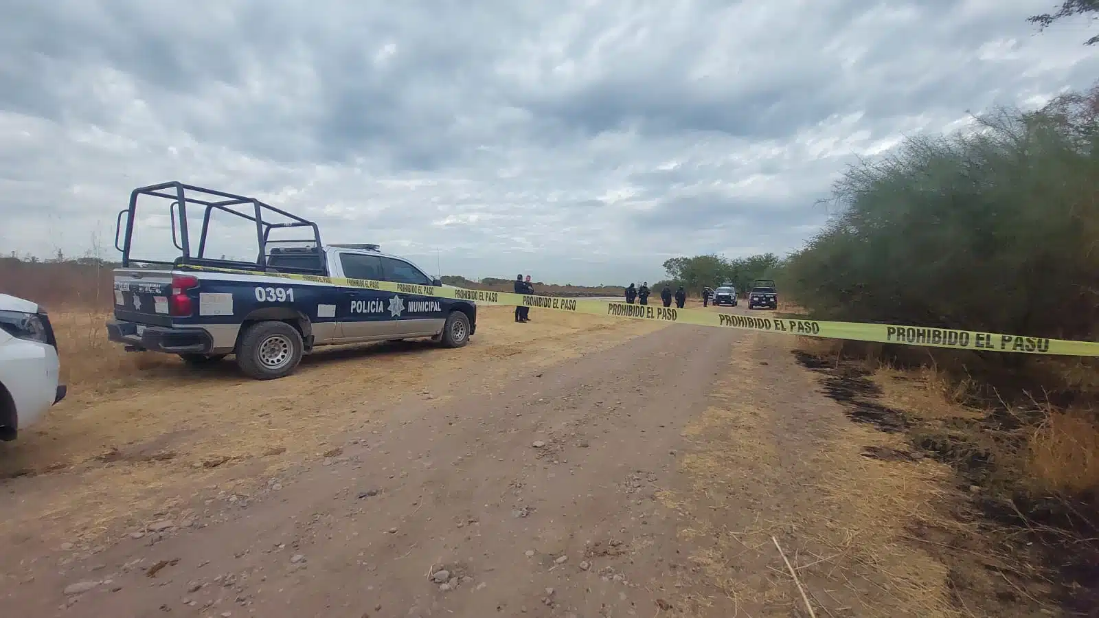 Osamenta Bachigualato Culiacán