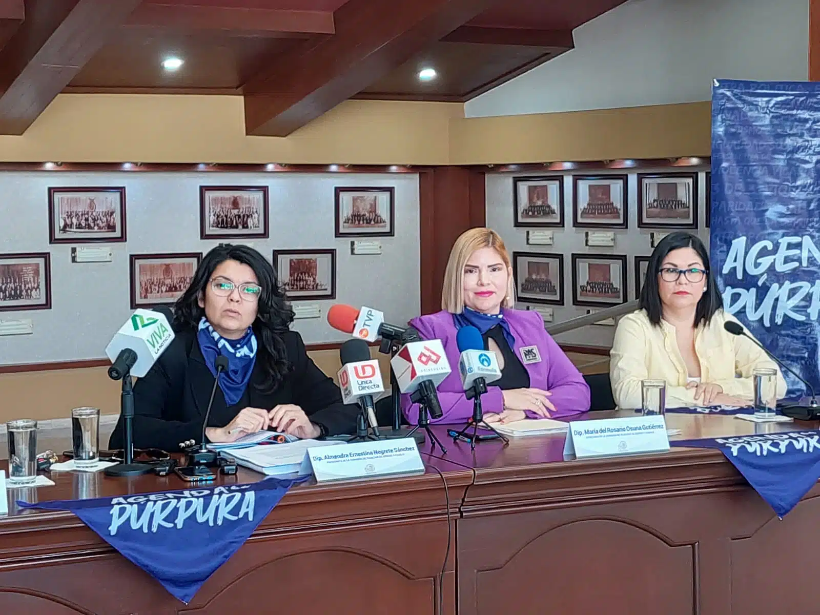 Protocolo Violeta Congreso de Sinaloa Iniciativa