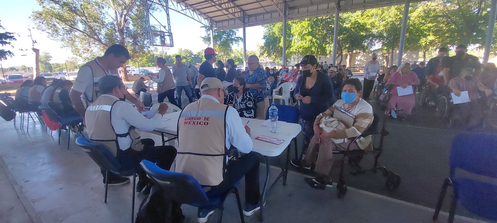 Pension bienestar