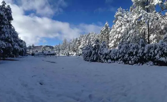 en San Ignacio podemos encontrar algunos poblados a orillas de la sierra que durante el invierno se cubren de blanco, como el Ejido California, un sitio cercano a Durango. 