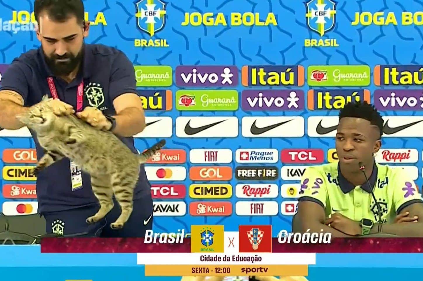 Selección Brasil maltrato gato