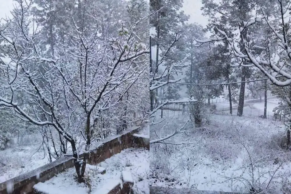 ¡Se pintan de blanco! En estos tres bellos lugares, cae nieve en Sinaloa y puedes visitarlos