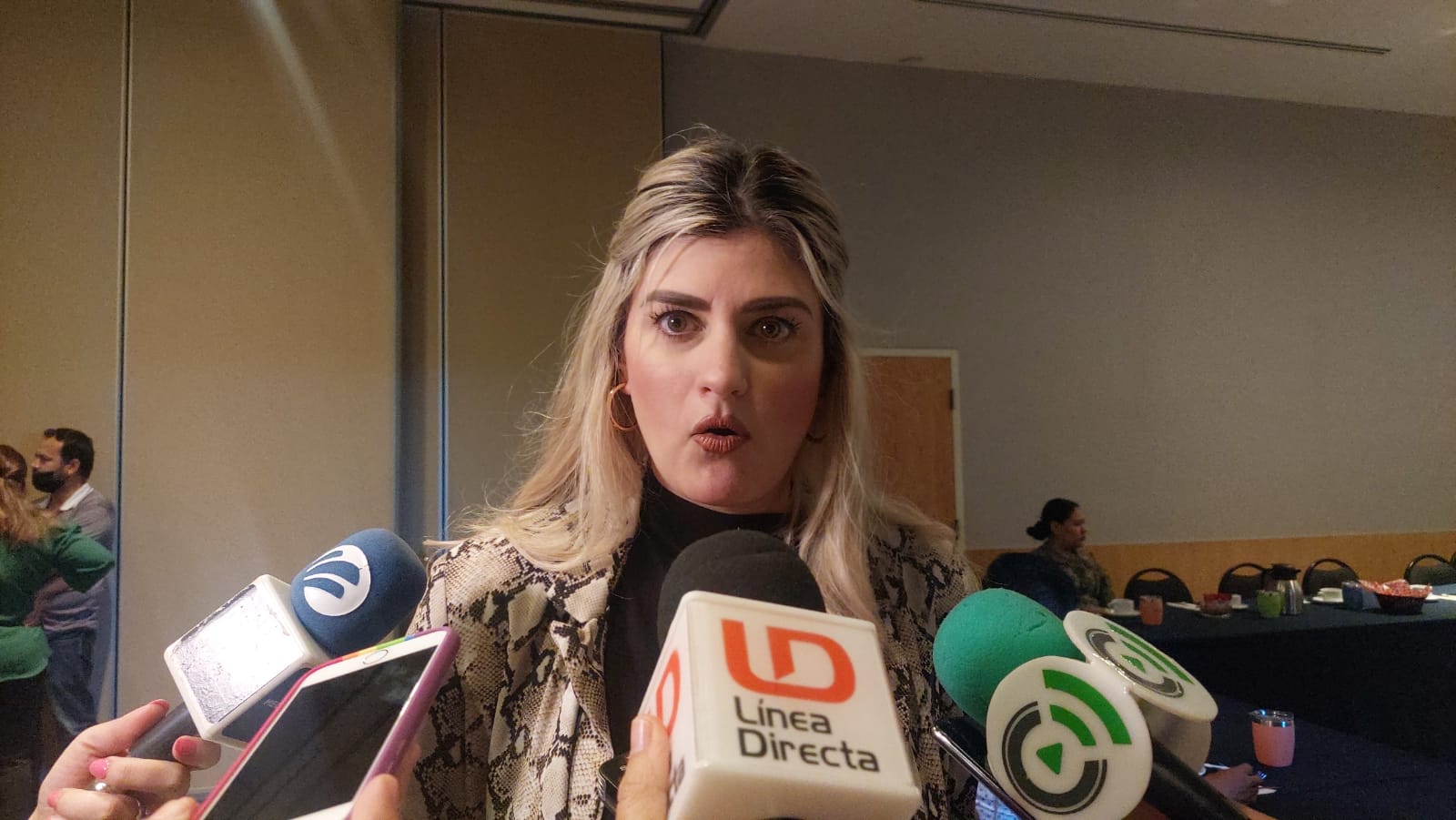Verónica Medel Arce