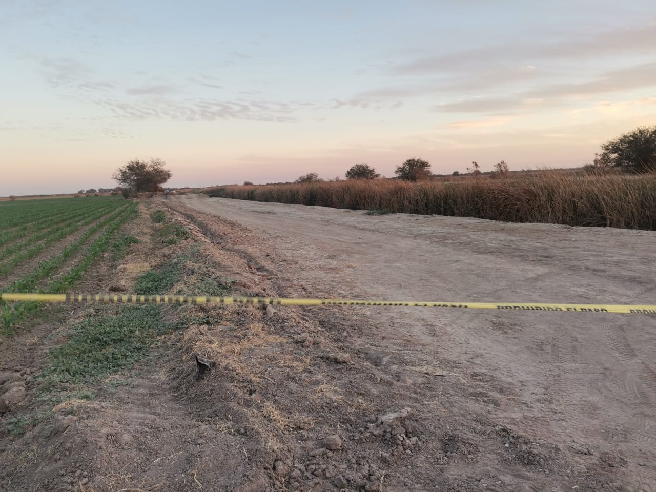 ¡En un dren! Localizan sin vida a una mujer en Guasave; presumen sea una que estaba desaparecida