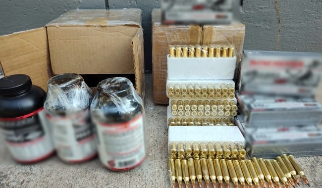 armas guardia perros
