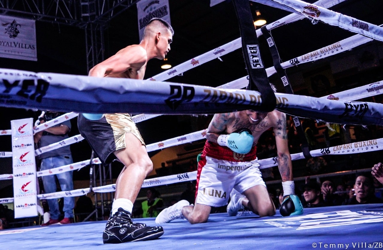box-profesional-Alan Contreras