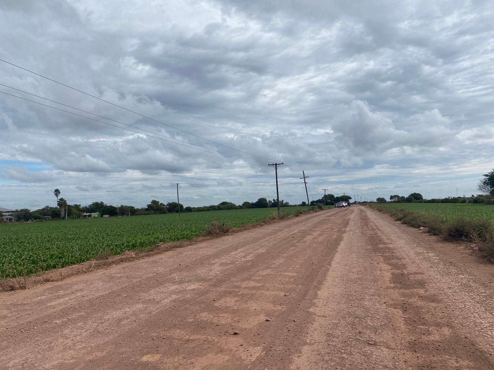carretera-obras-Plan de Guadalupe