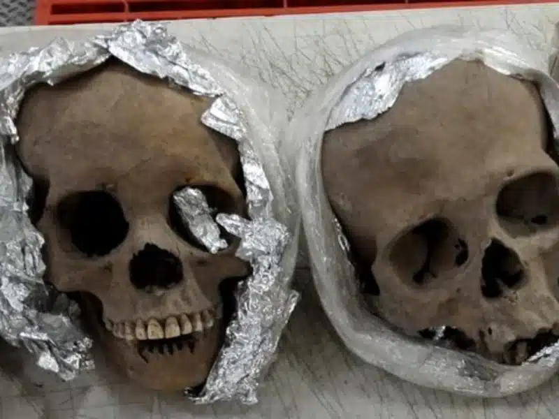 cráneos humanos querétaro