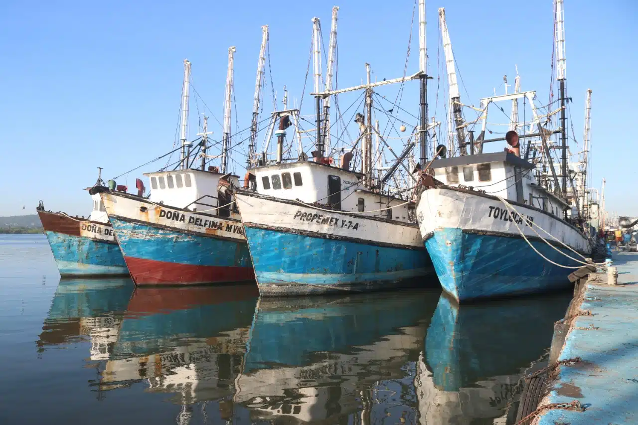 Realidad sobre la actividad pesquera del país