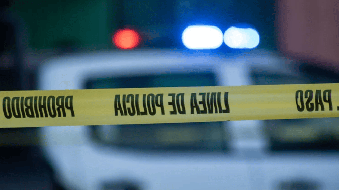 Feminicidios