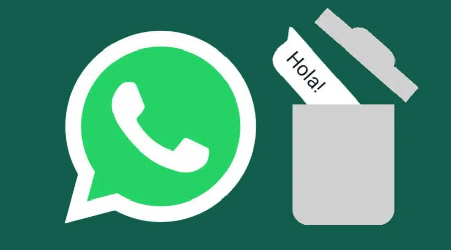 Whatsapp Eliminación accidental