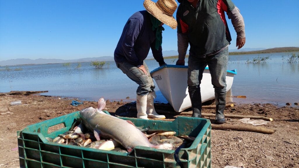 pescadores 