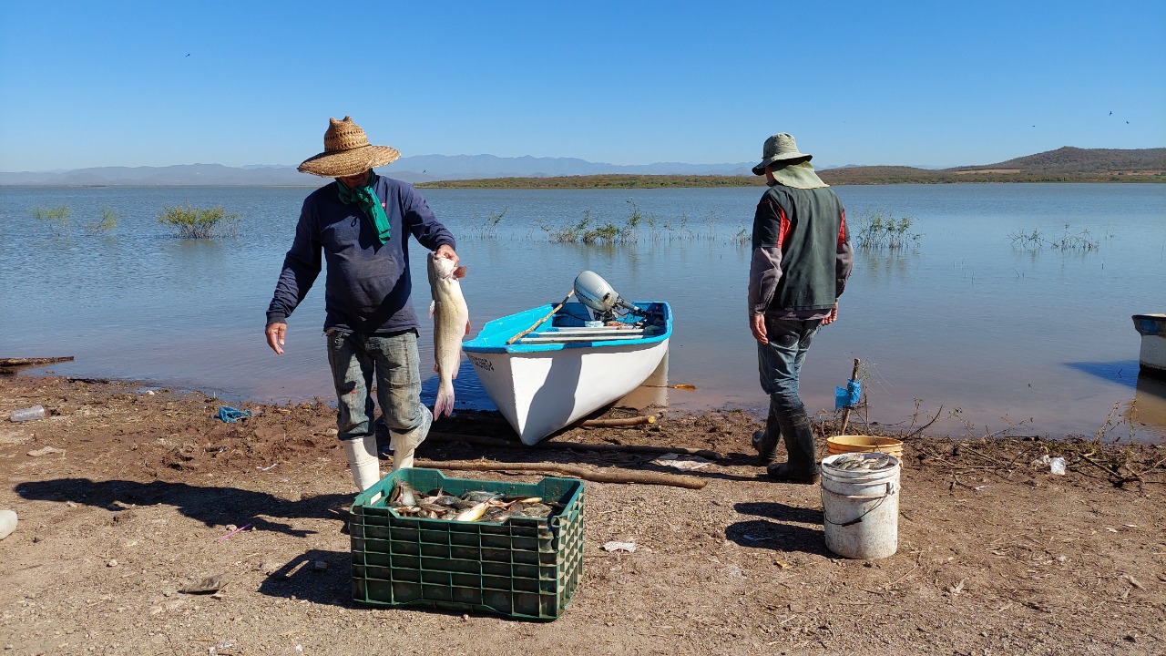 pescadores