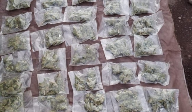 Droga marihuana decomiso