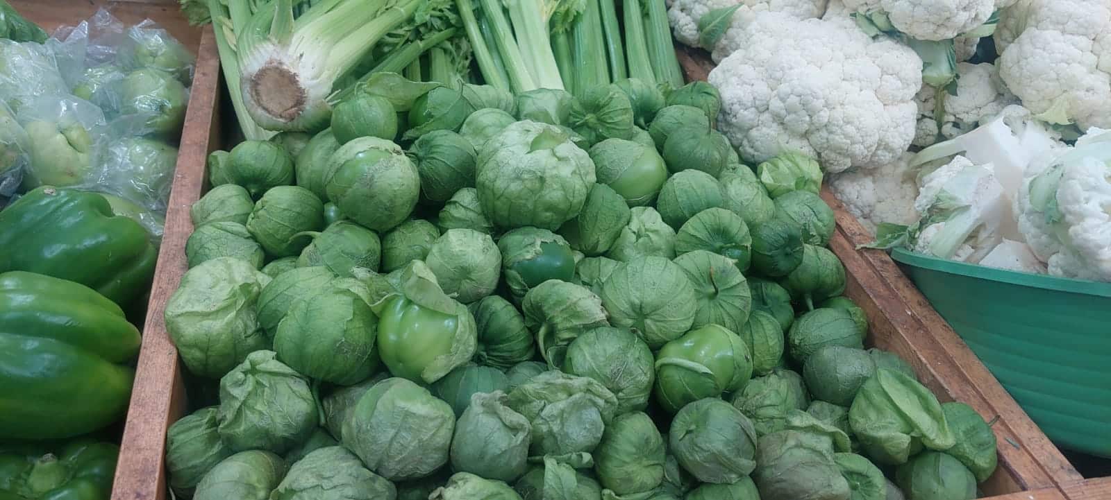 tomatillo precio sinaloa agro