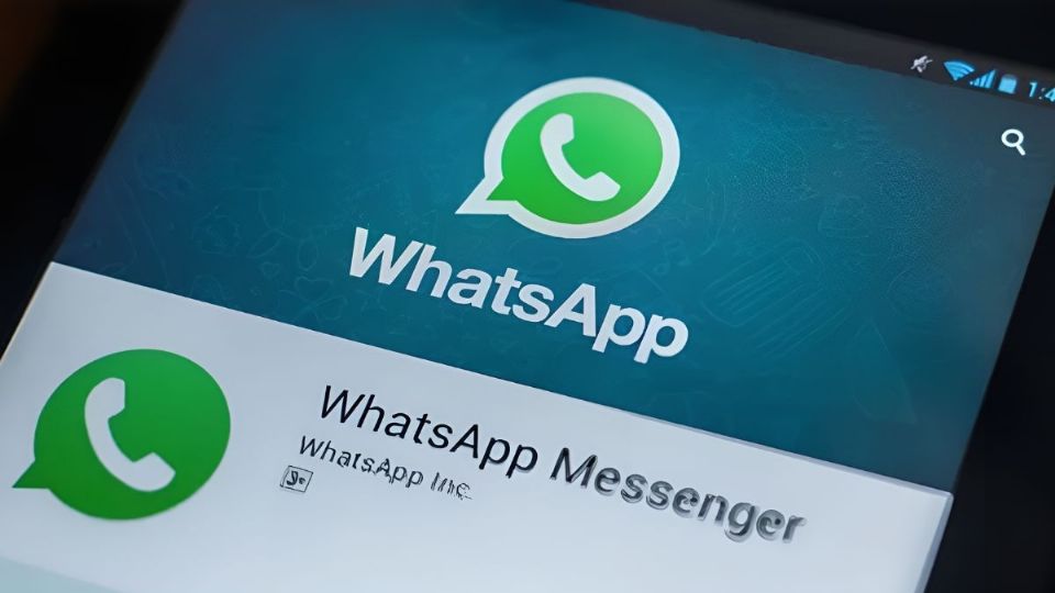 whatsapp verificación