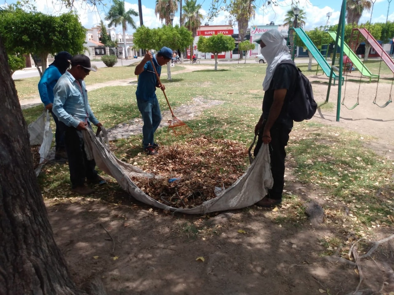 Servicios públicos contará con más camiones recolectores de ramas en Ahome