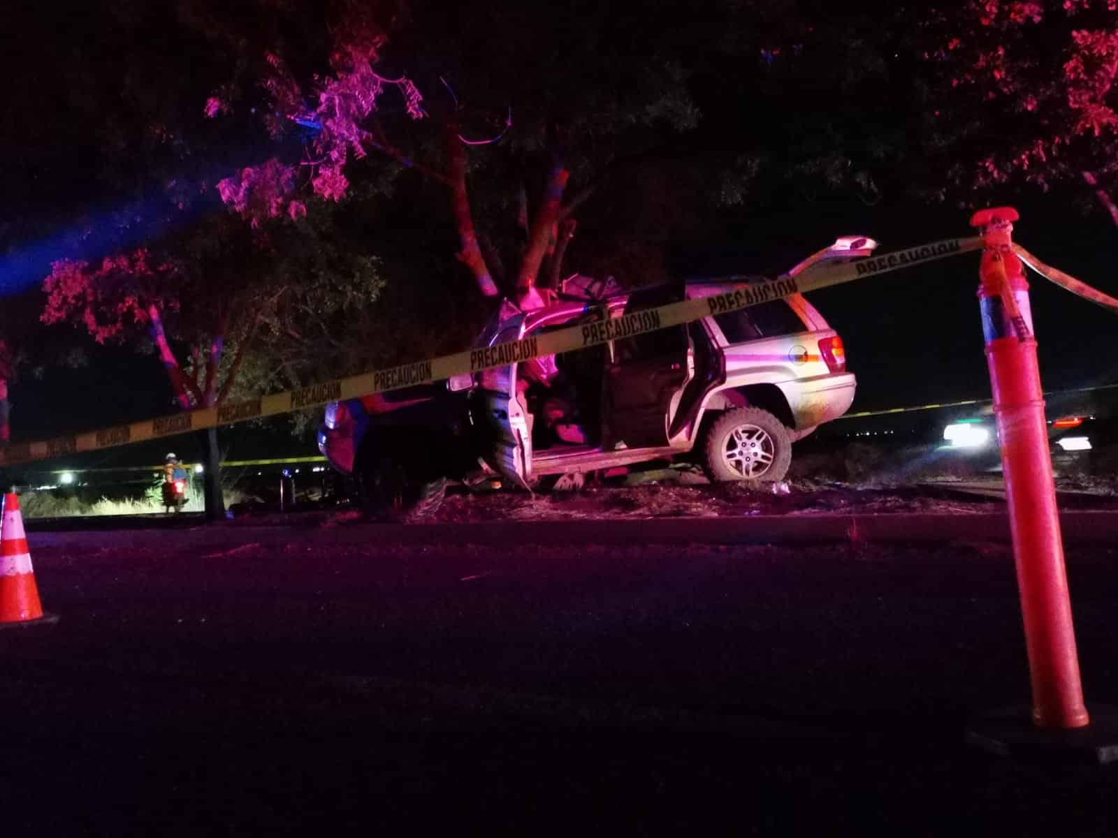 Accidente Choque Perro