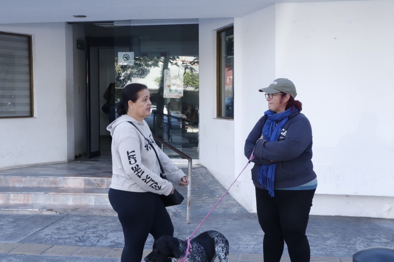 Animalistas Denuncia Formal Fiscalía