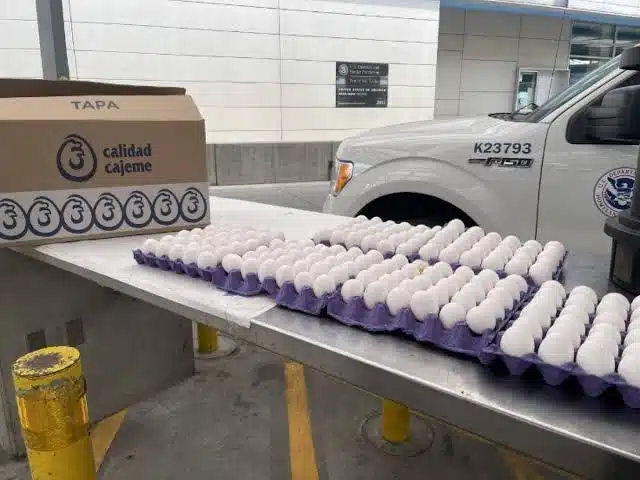 Aumenta decomiso de huevos mexicanos en frontera con Estados Unidos