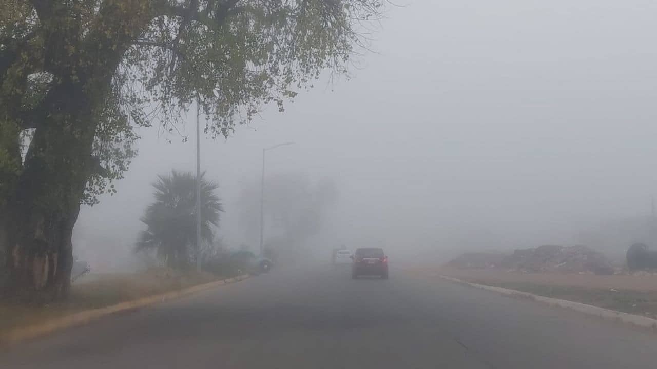 Bancos de niebla clima Sinaloa