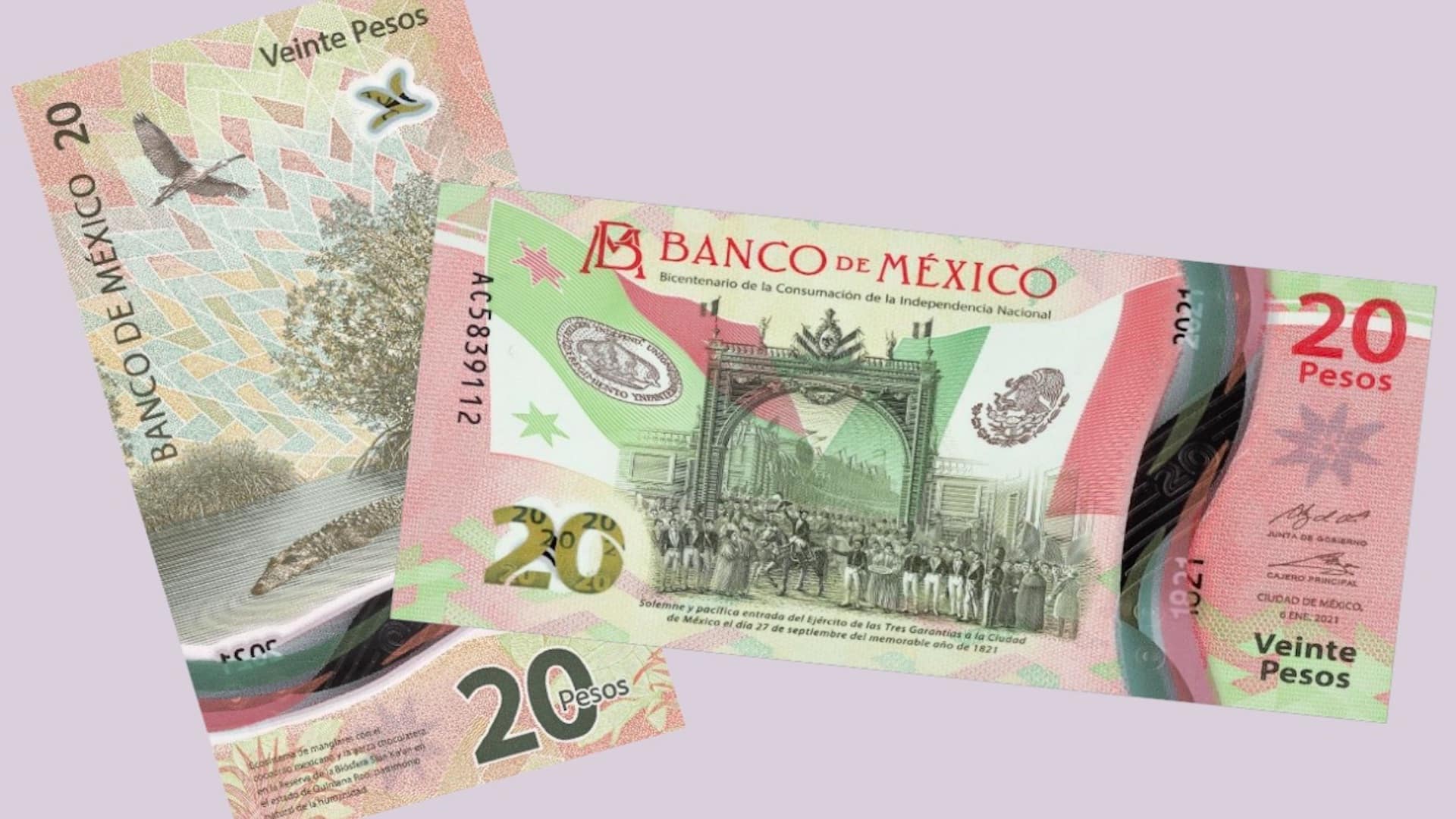 ¡Ve diciéndole adiós! Banxico eliminará el nuevo billete de 20 pesos ¿Qué pasará? Chécalo aquí
