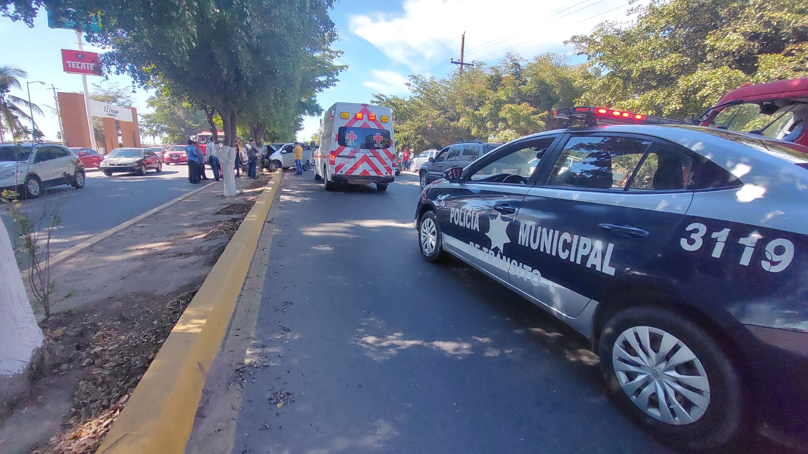 Conductor choca contra un árbol sobre la Culiacán-Navolato