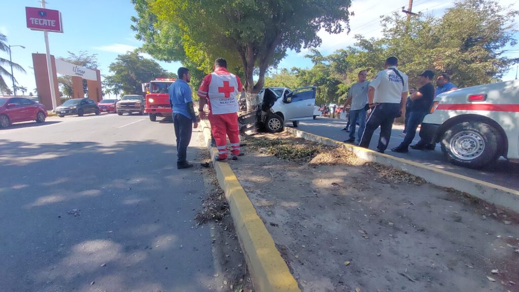 Conductor choca contra un árbol sobre la Culiacán-Navolato