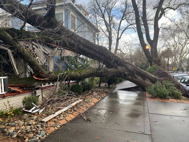 Continúa California con daños tras bomba ciclónica; ¡anuncian evacuación masiva!