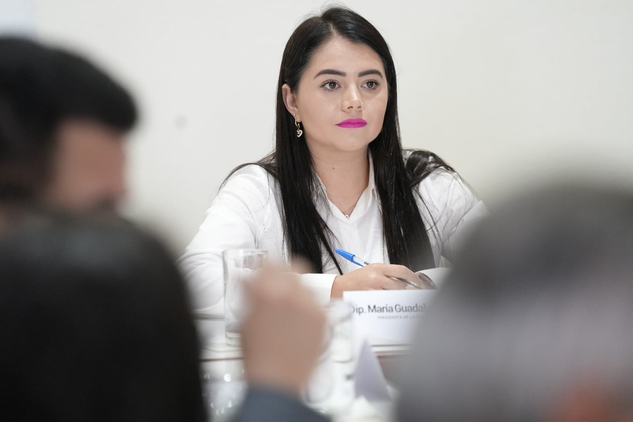Diputada María Gpe Cazares