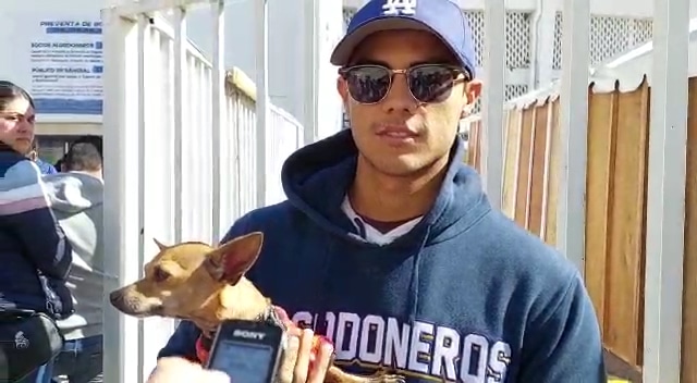Fan Algodoneros Perro Mateo