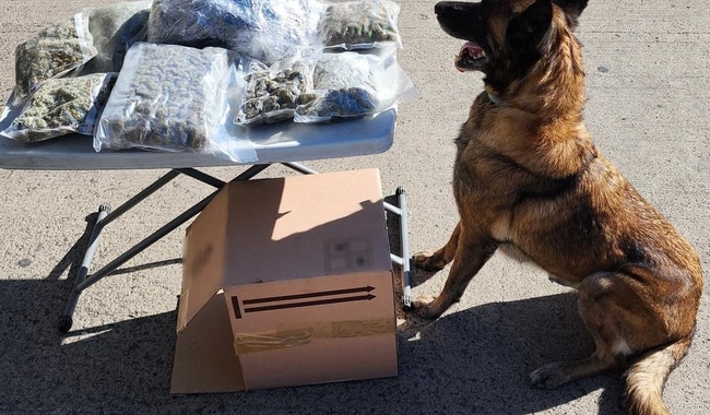 Guardia nacional marihuana