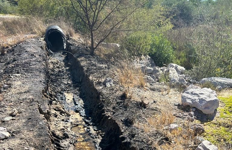Incendio en manglar causa daños en la descarga de planta