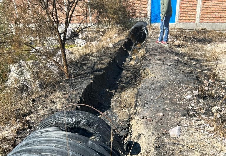 Incendio en manglar causa daños en la descarga de planta